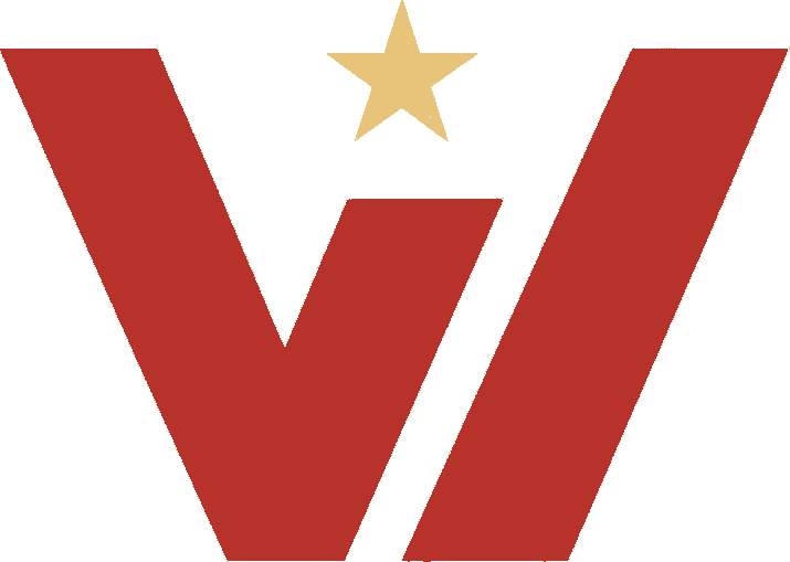 Vi